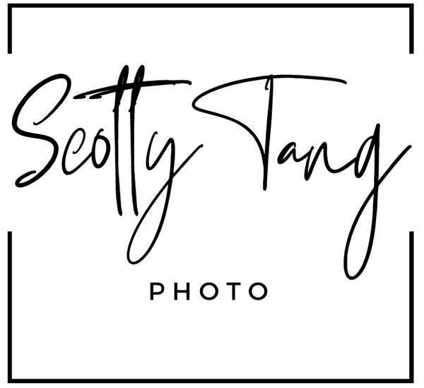 Scotty Tang Photo logo