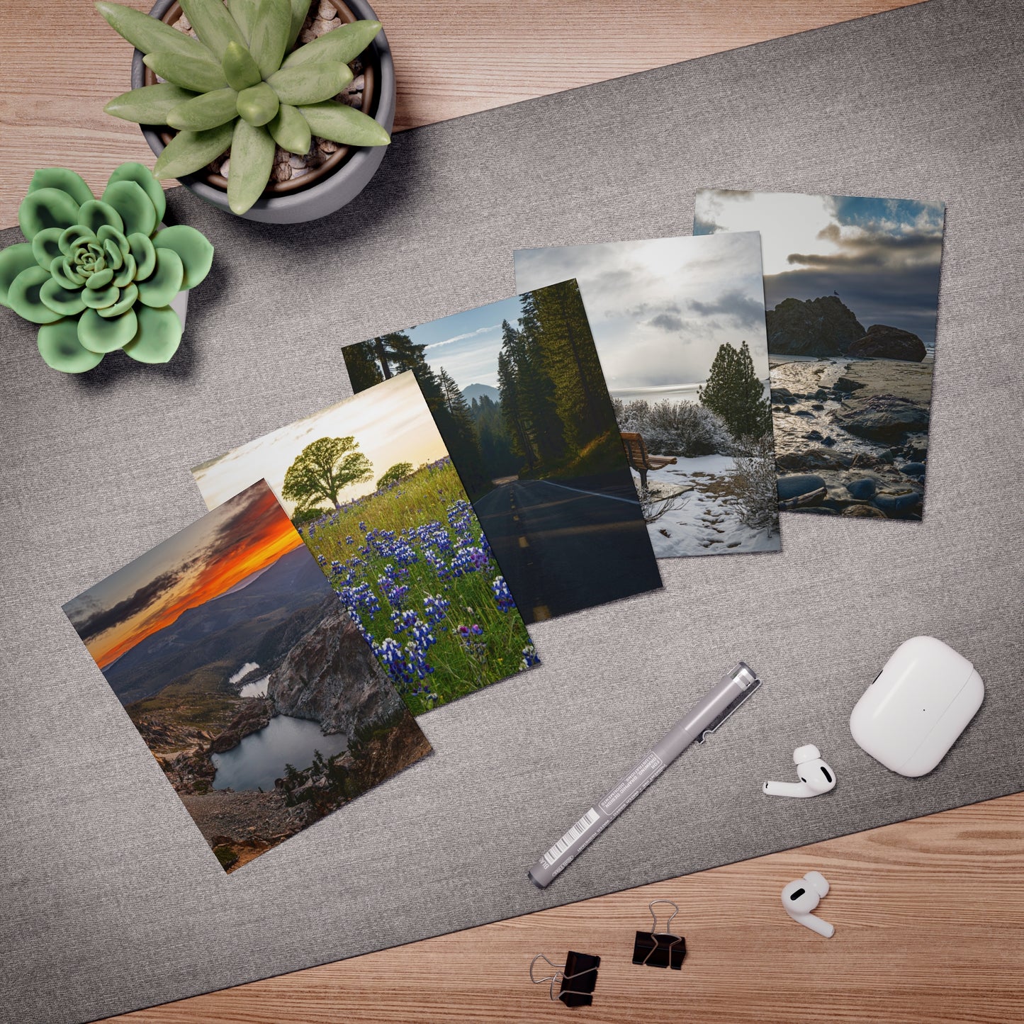 Multi-Design Greeting Cards (5-Pack) - Scenic