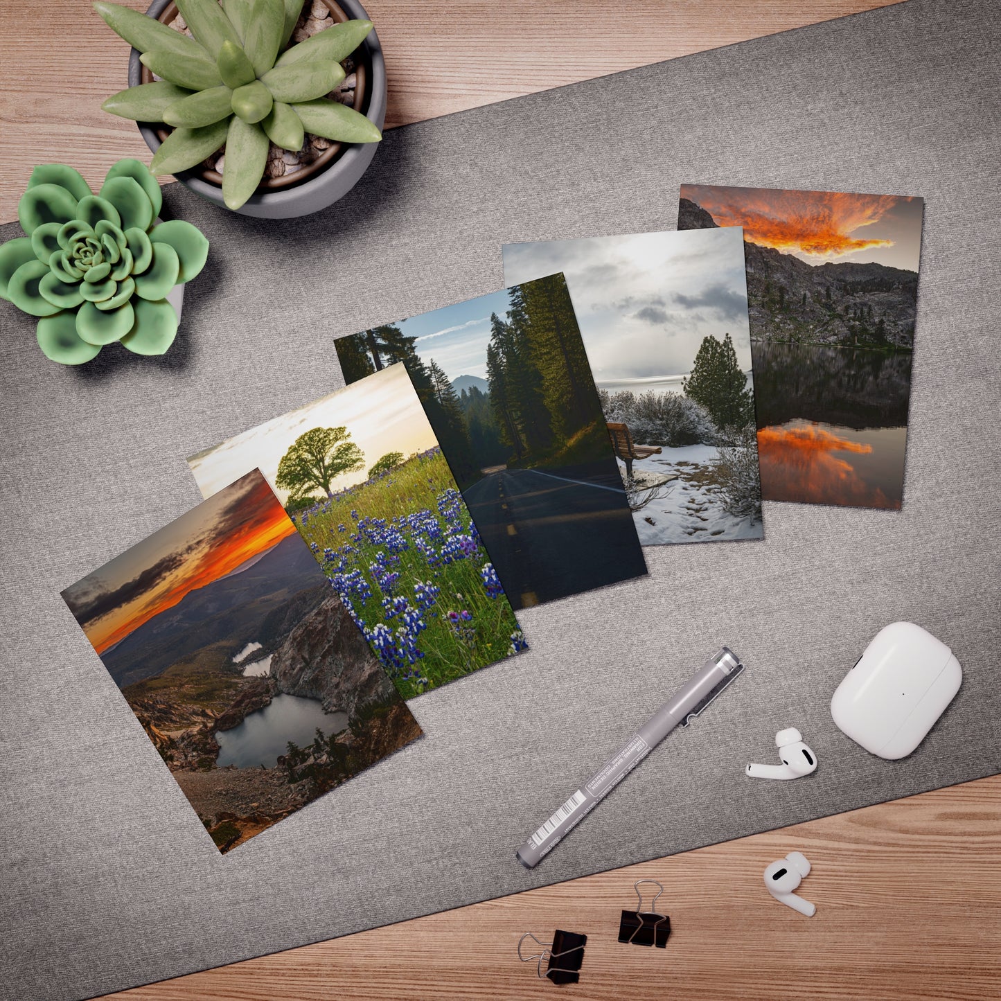 Multi-Design Greeting Cards (5-Pack) - Scenic