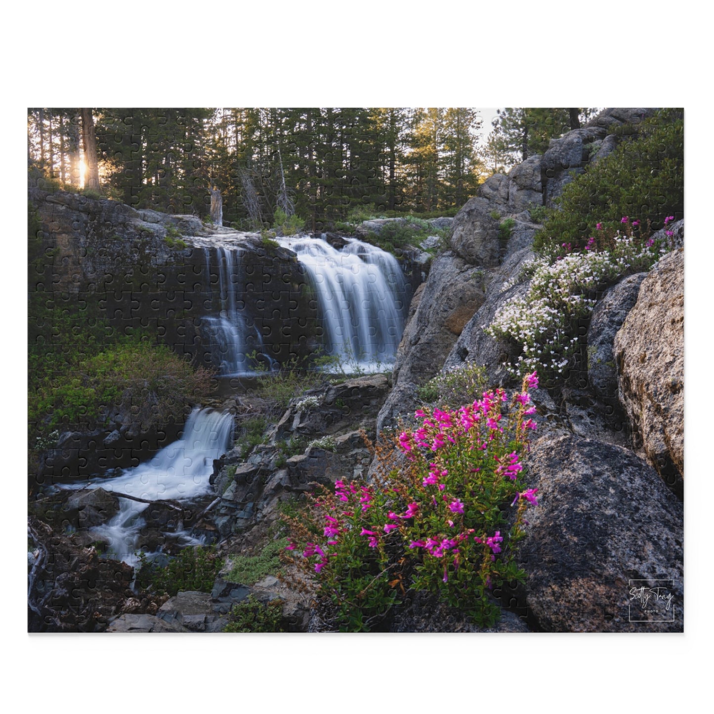 Puzzle (500 pieces): Shirley Falls