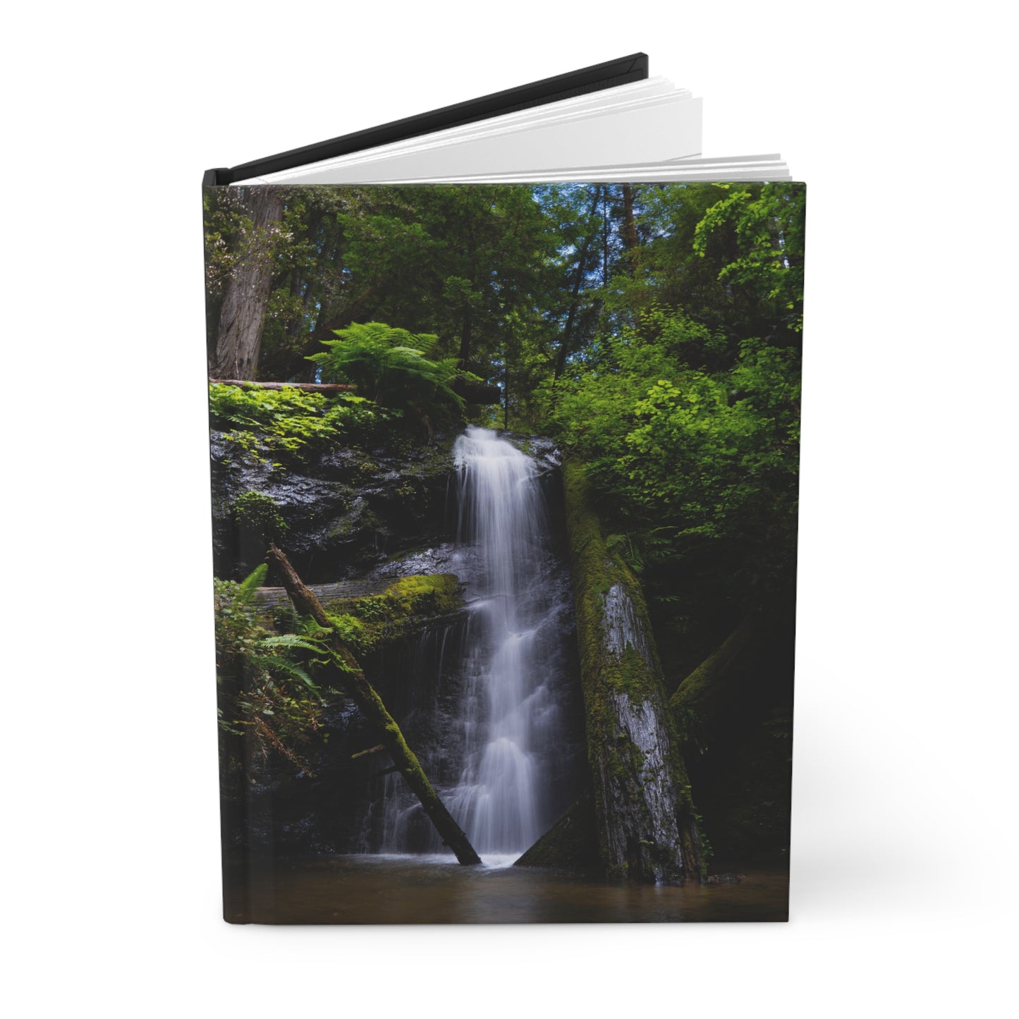 Hardcover Notebook/Journal: Enchanted
