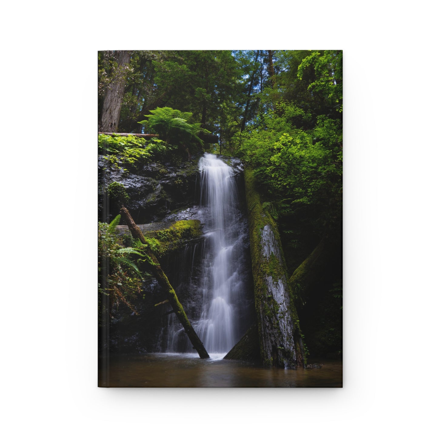 Hardcover Notebook/Journal: Enchanted