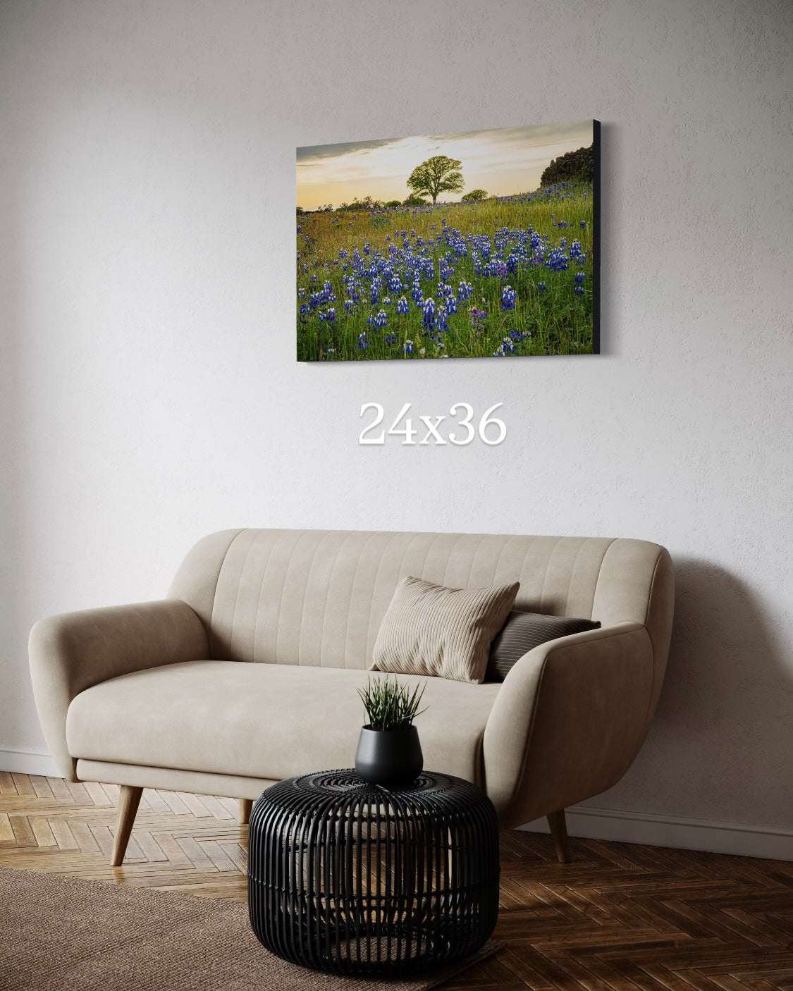 Lupine Tree