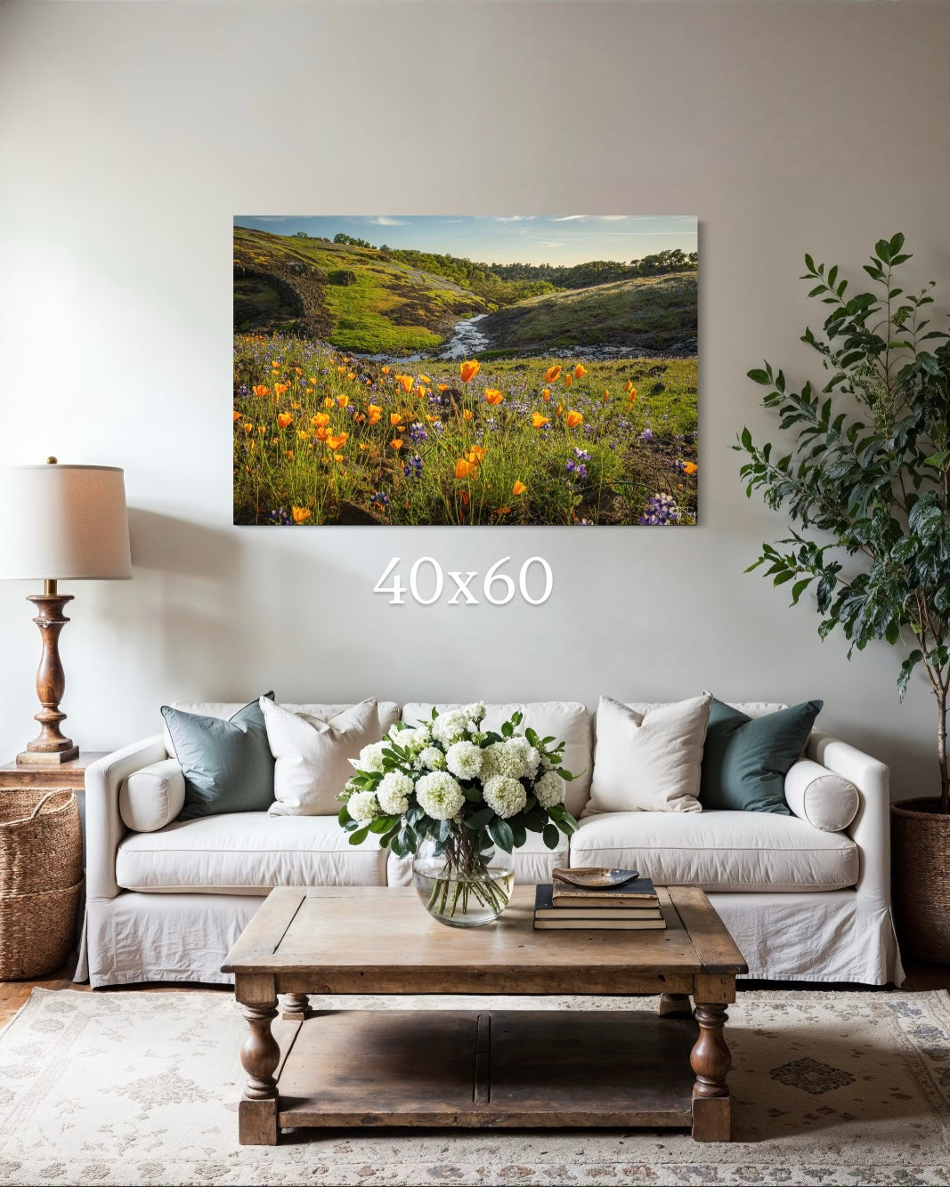 California Poppies - Table Mountain