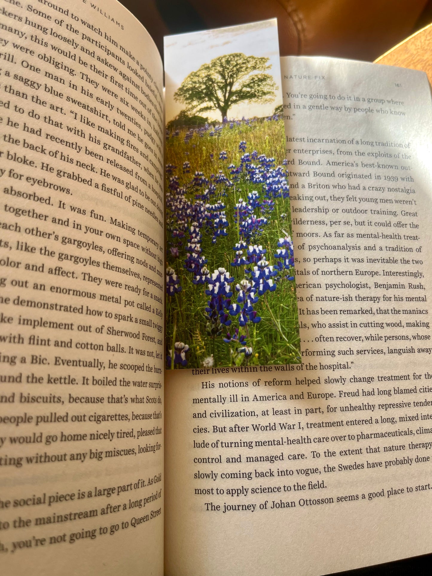 Bookmark: Lupine Tree