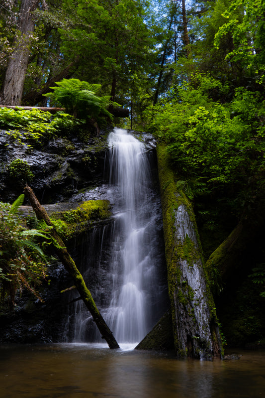 The Tragic Story Behind the Shot: Enchanted Gulch