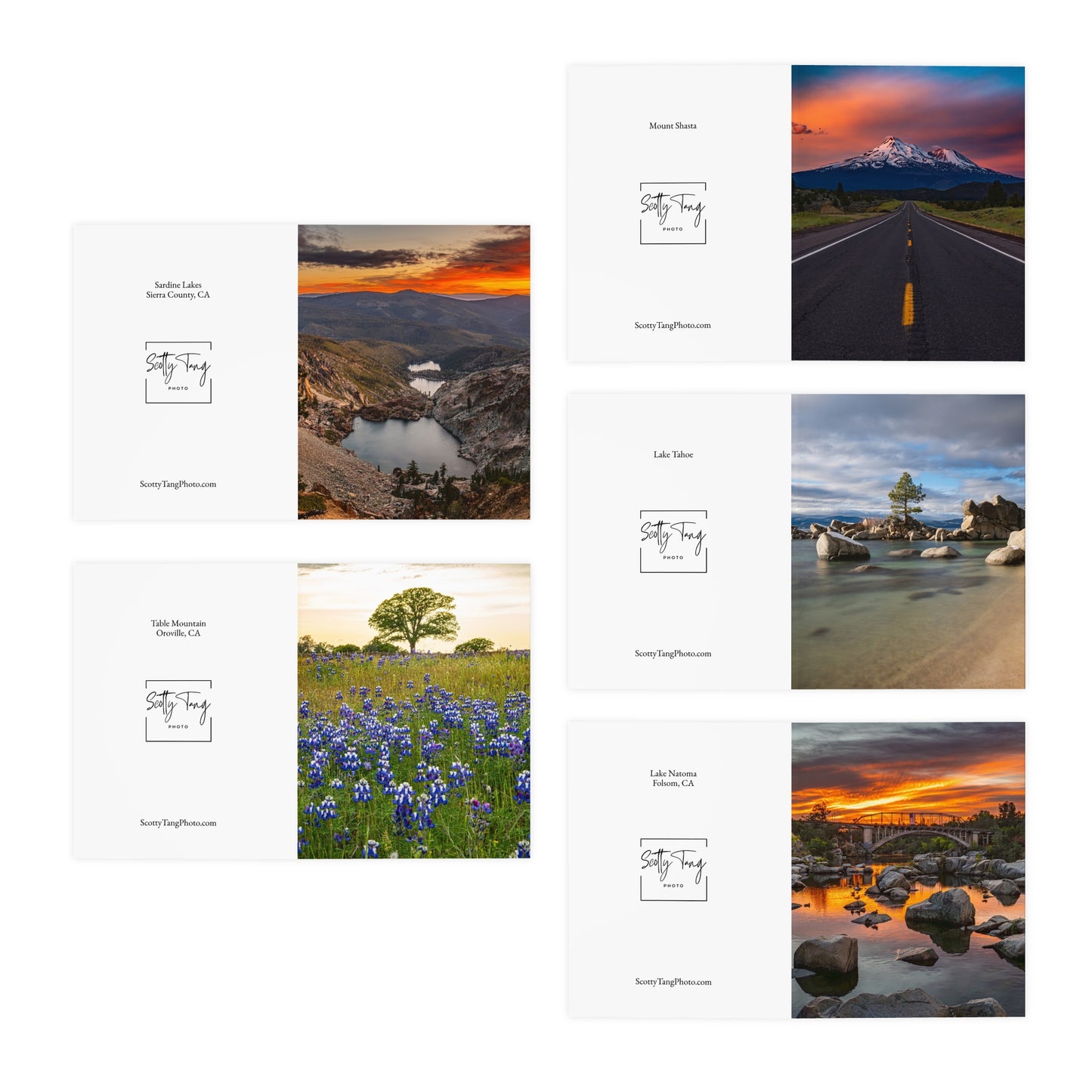 Multi-Design Greeting Cards (5-Pack) - Scenic
