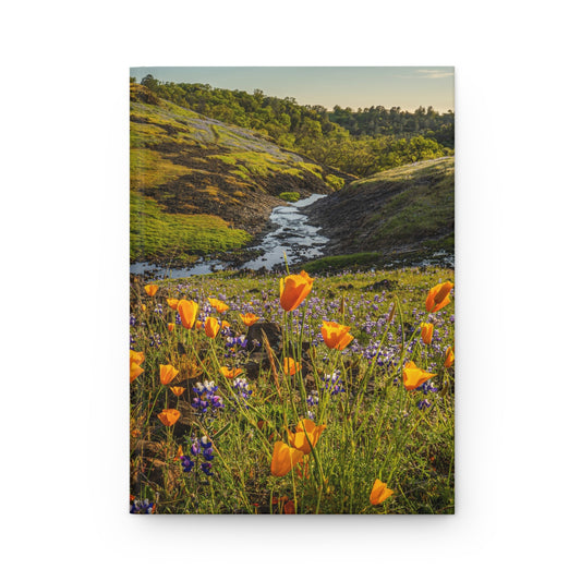 Hardcover Journal: California Poppy