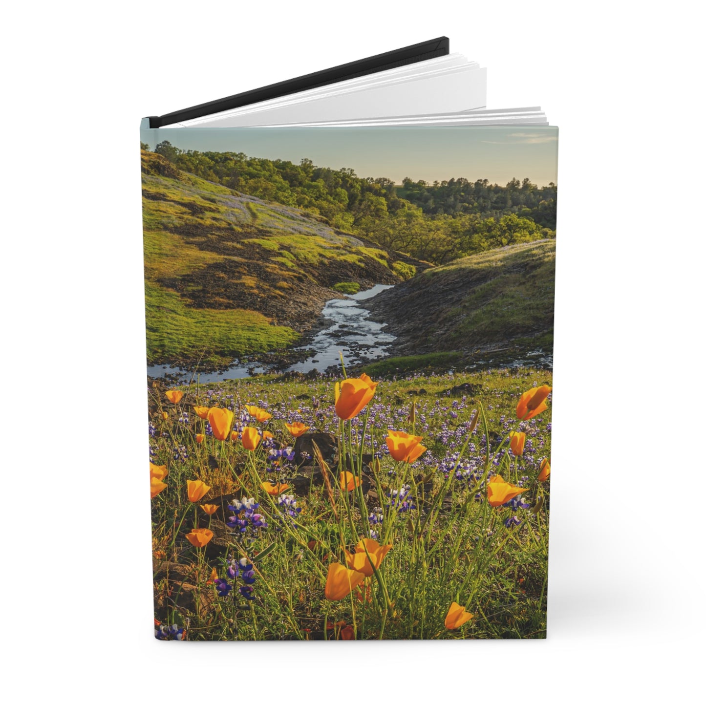 Hardcover Journal: California Poppy