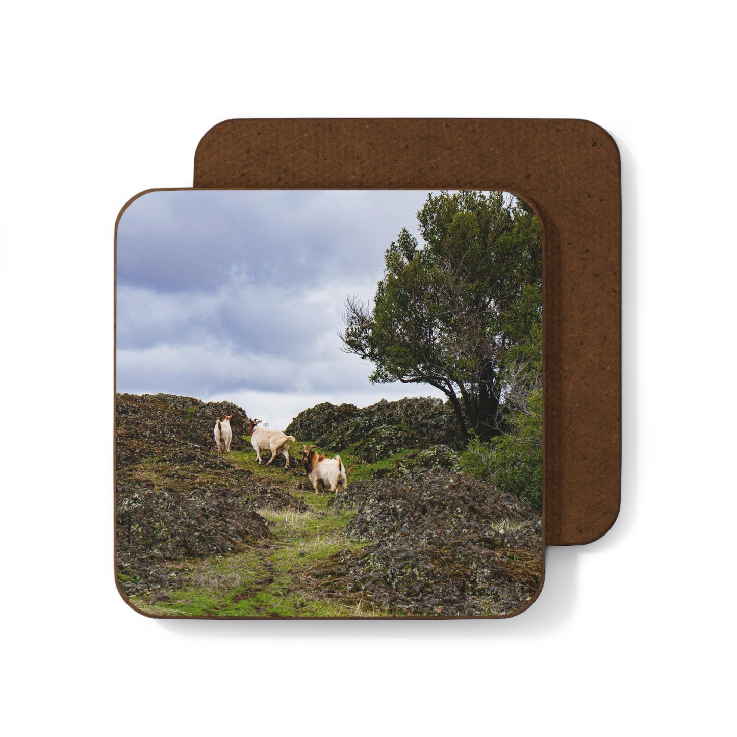 Hardboard Back Coaster: Goats