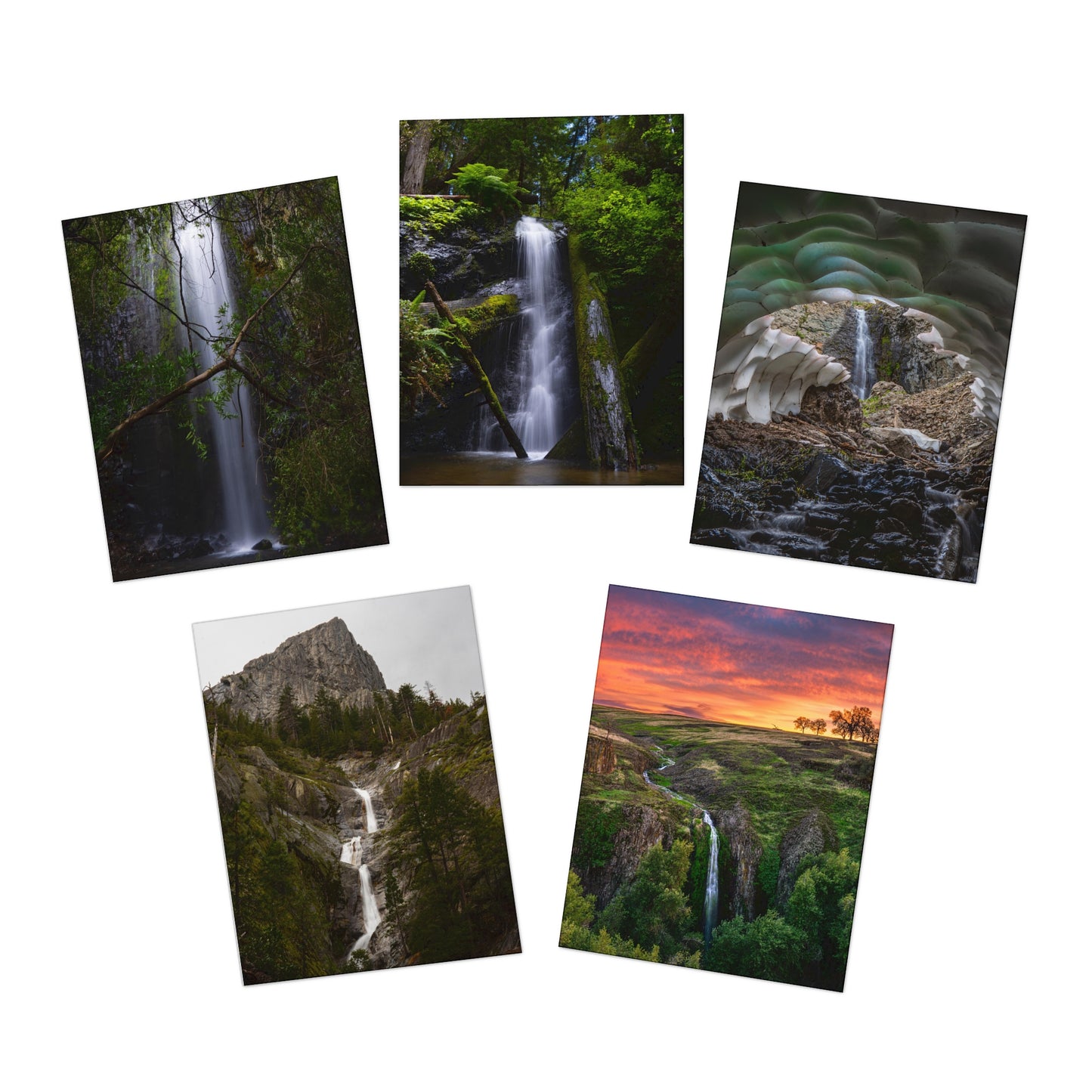 Multi-Design Greeting Cards (5-Pack)