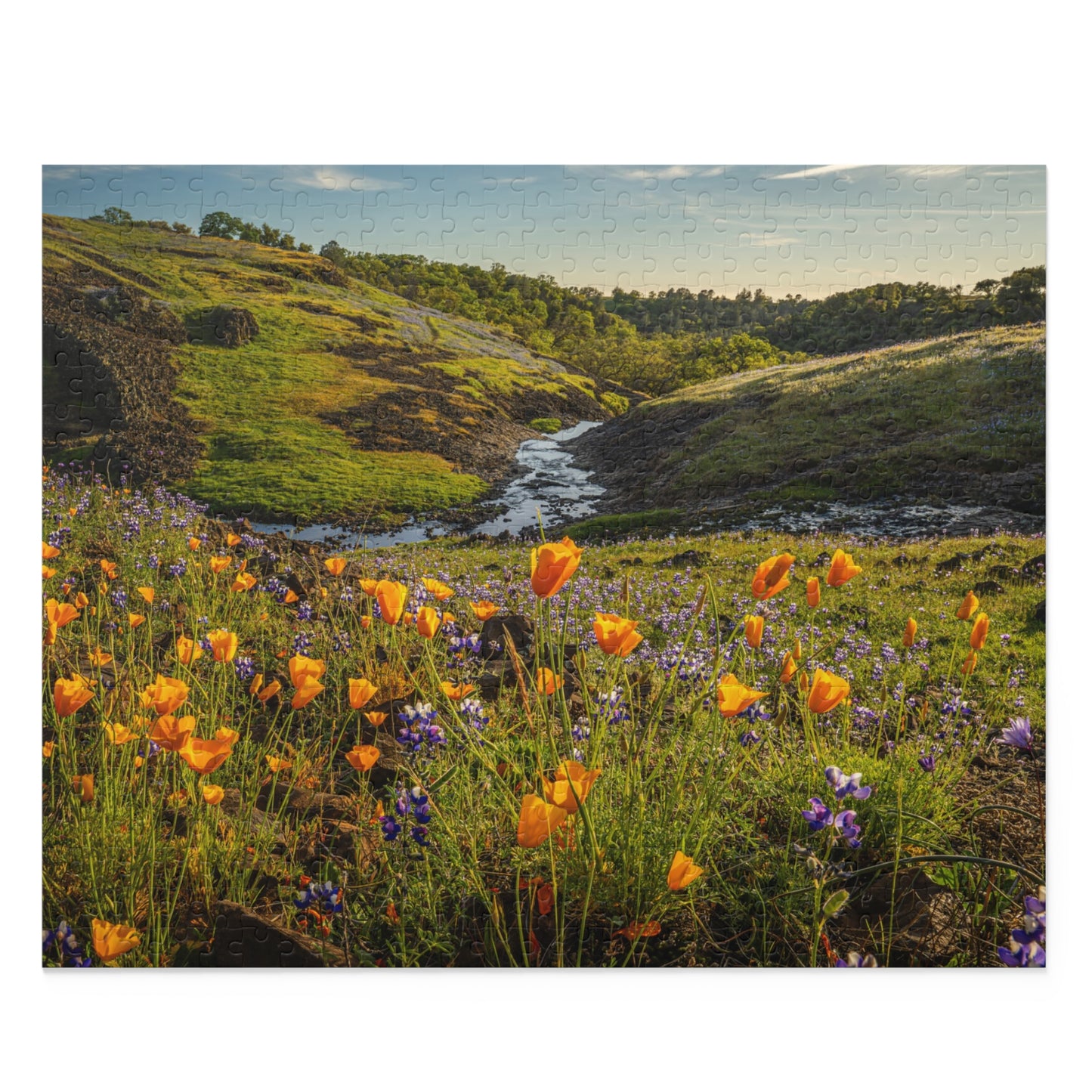 Puzzle (500-Piece) California Poppy
