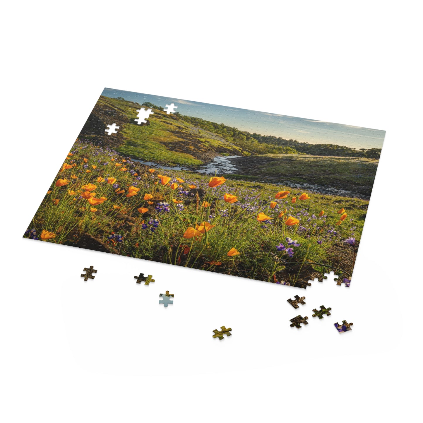 Puzzle (500-Piece) California Poppy