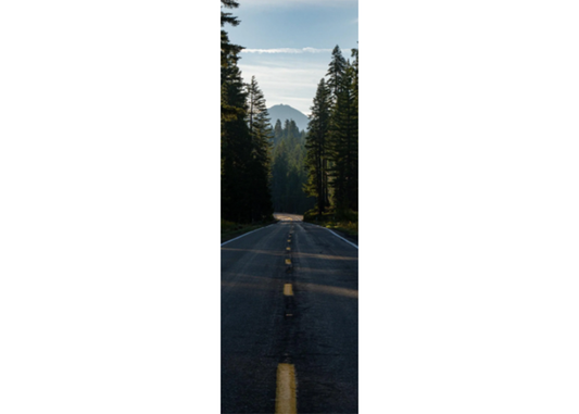 Bookmark: Mountain Road