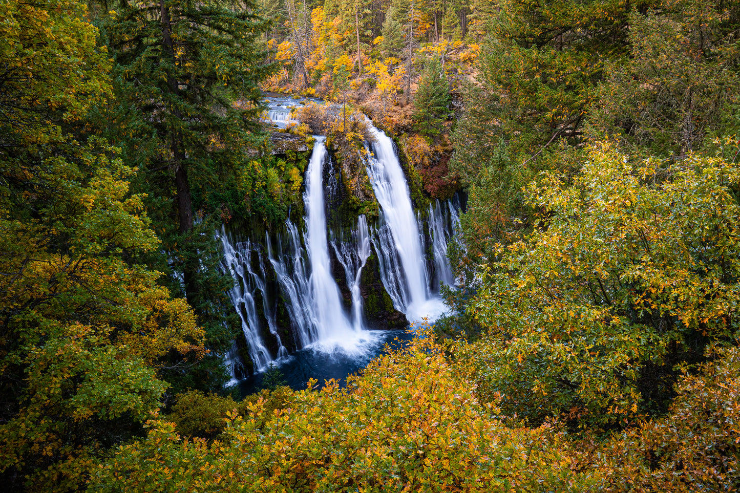 Fall at Burney