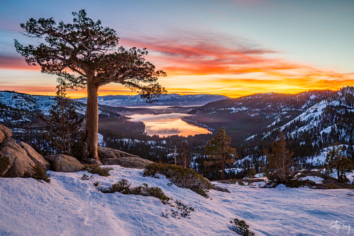 Donner Sunrise