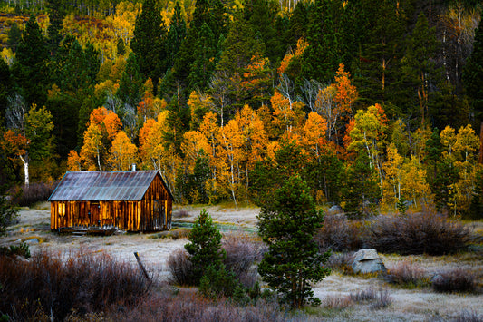 Autumn at the Barn