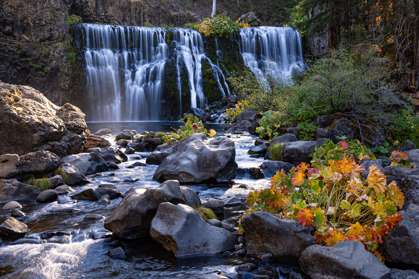 Fall at McCloud