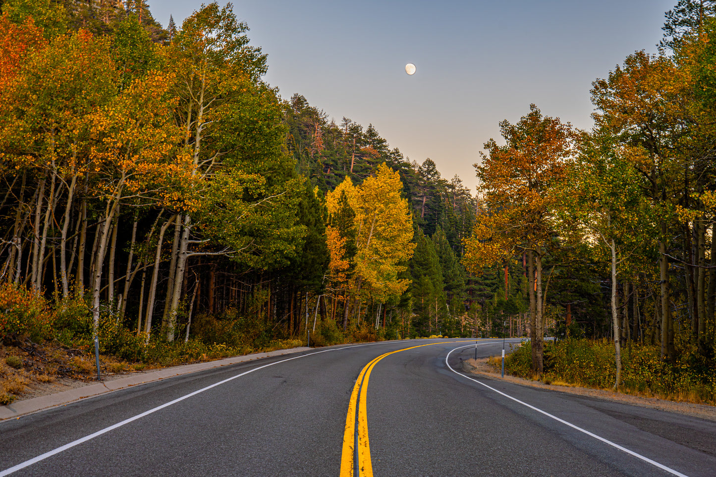 Aspen Fall Moon
