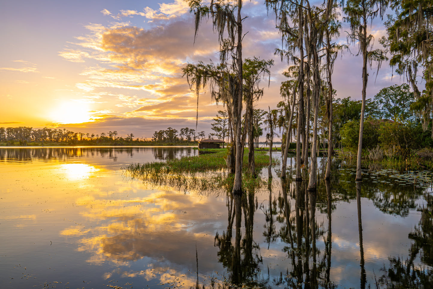 Florida Sunset