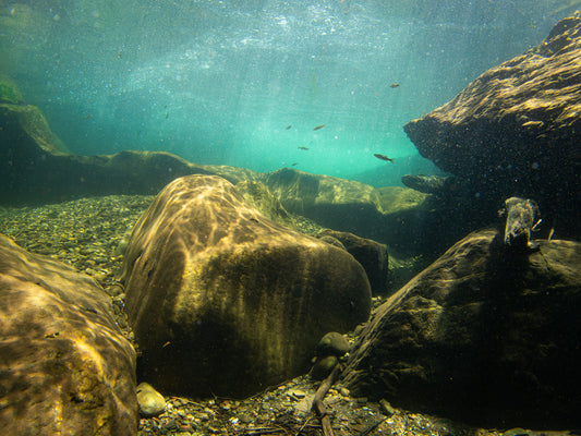 Under the American River