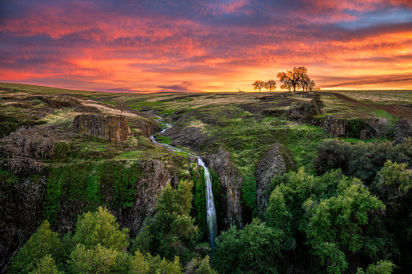 Ravine Sunset