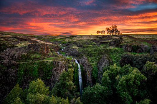 Ravine Sunset