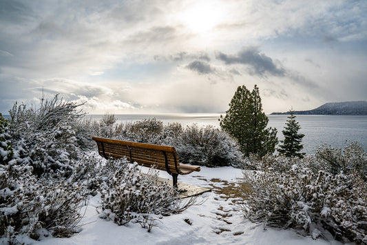 The Light Will Come - Lake Tahoe