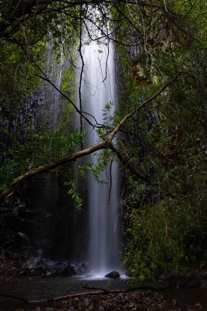 Mystic Ravine